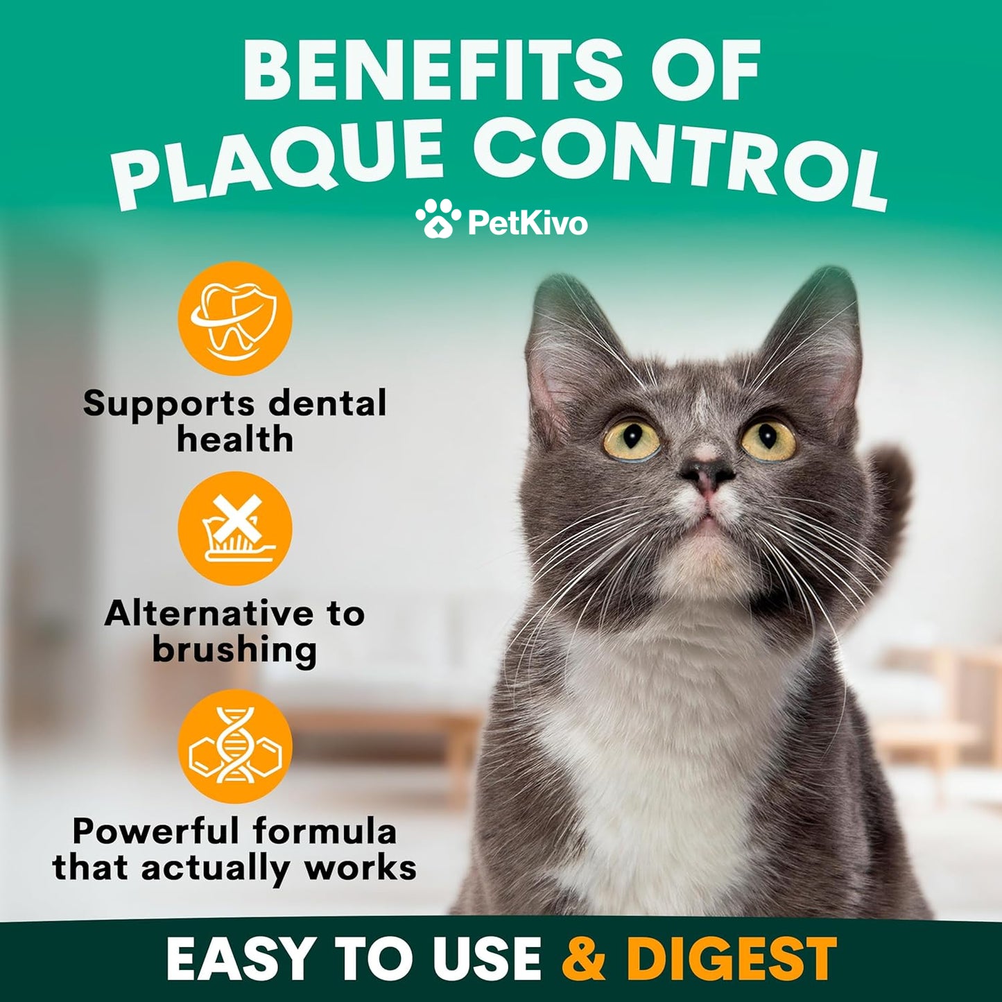 PetKivo Catbiotic™ – Daily Oral Hygiene Powder for Cats