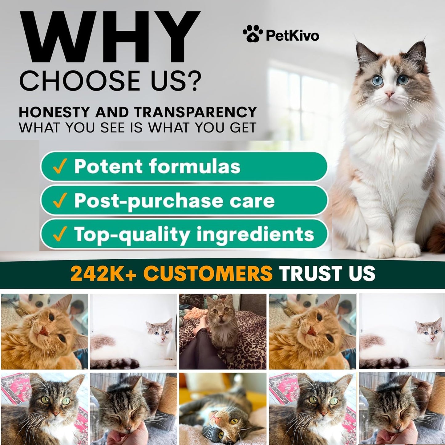 PetKivo Catbiotic™ – Daily Oral Hygiene Powder for Cats