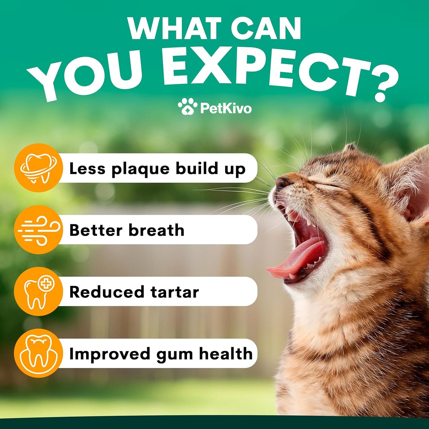 PetKivo Catbiotic™ – Daily Oral Hygiene Powder for Cats